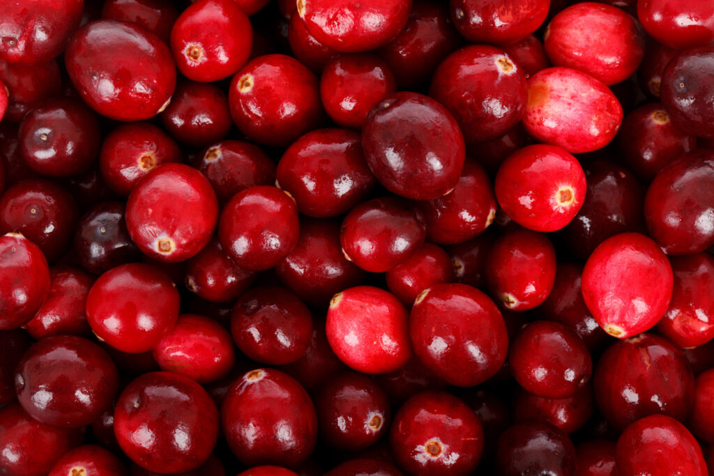 cranberries: How Cranberry Helps UTI