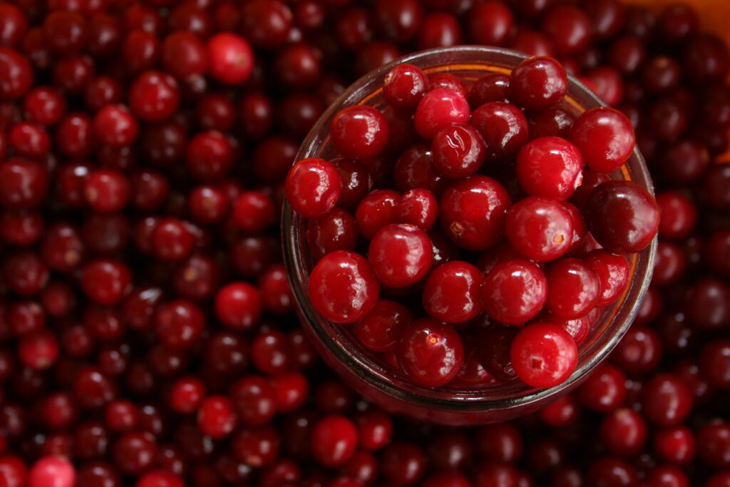 Cranberries in a bowl- How Cranberry Helps UTI