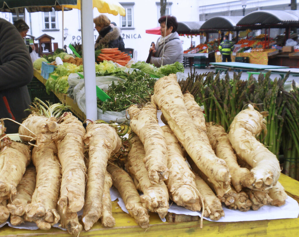 horseradish- natural home remedies for urine infection